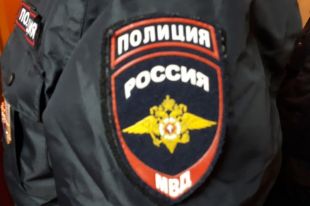 Поисками девушки занимались волонтеры и полиция.